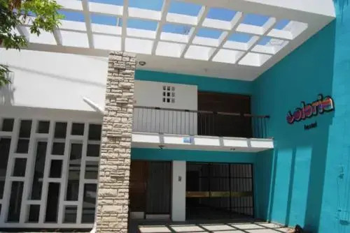 Coloria Hostel