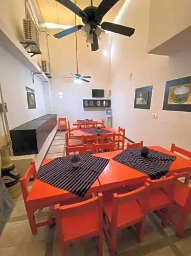 Hotel Coita Express