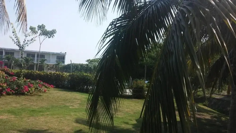 Hotel parador tropical