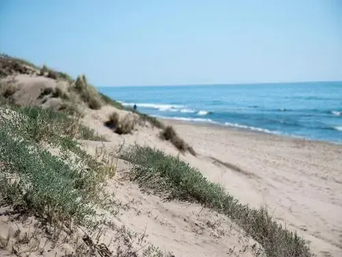 Wood House Close Beach