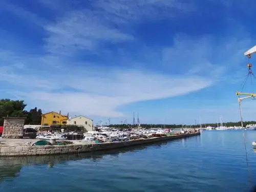 Holiday Home In Brtonigla