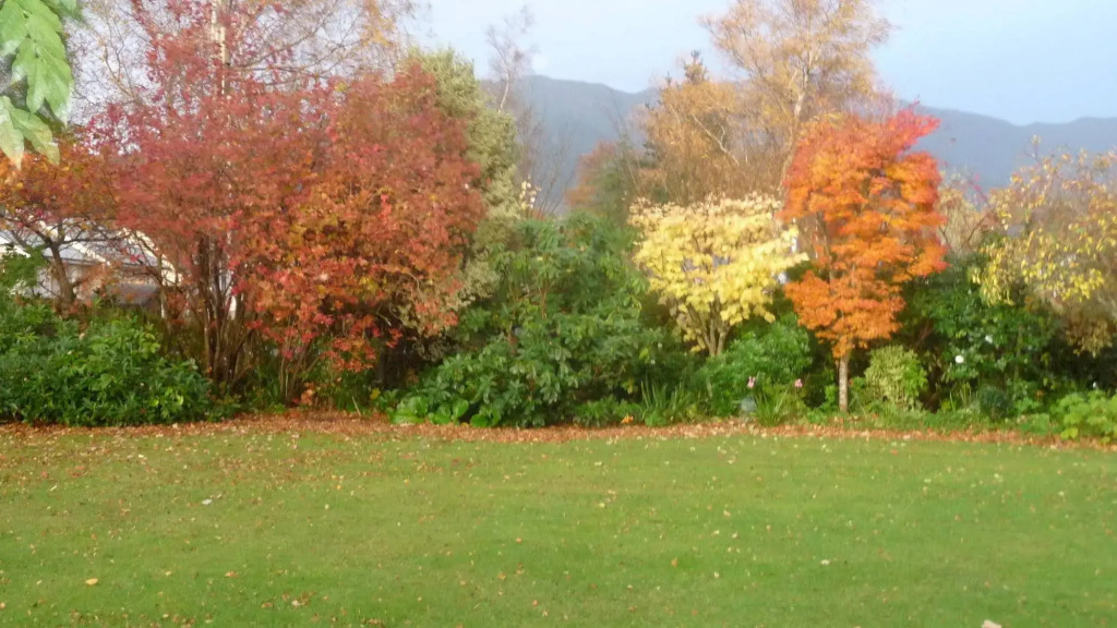 Harrogate Gardens Motel