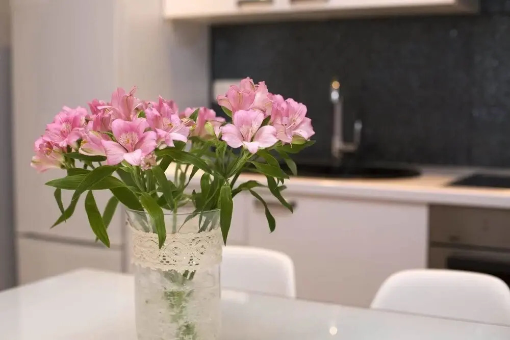 Studio Apartment with garden