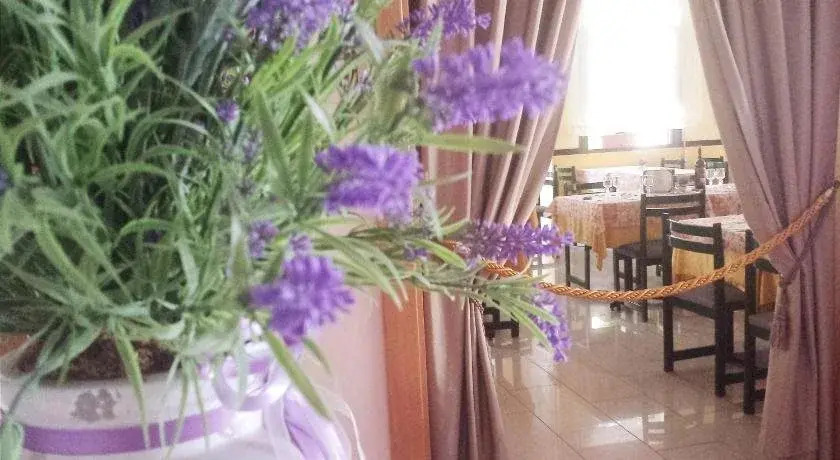 Hotel Firenze