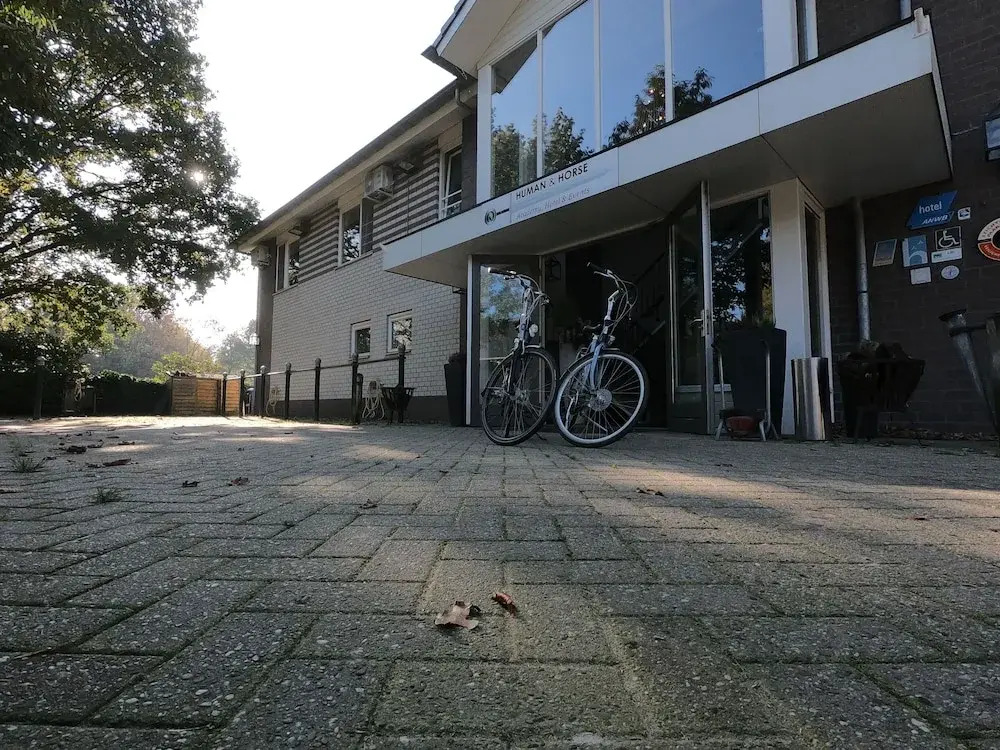Human & Horse Hotel