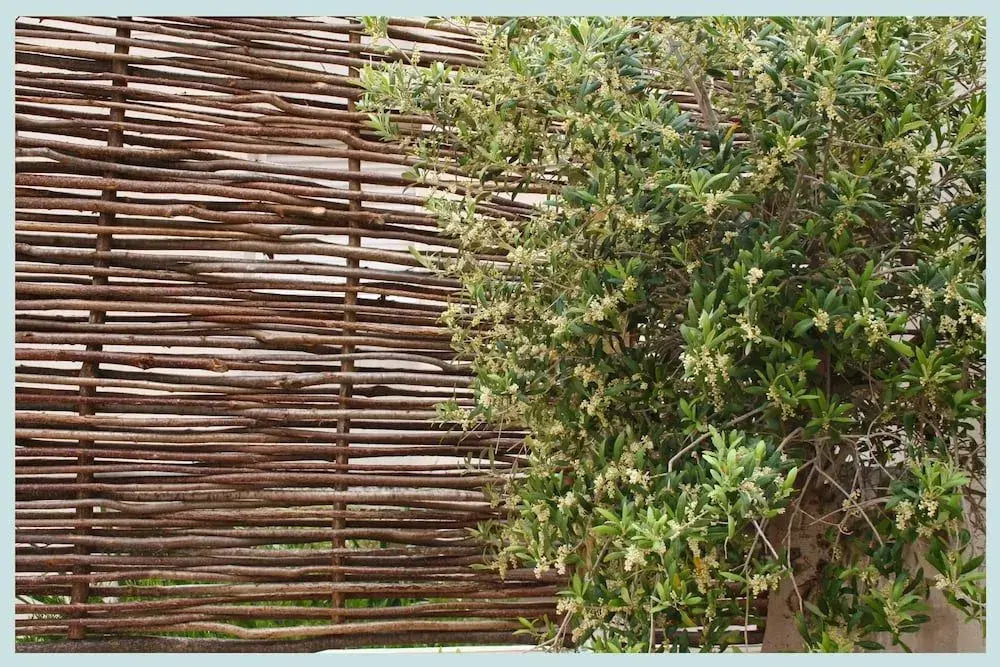 Hotel De Langlais Guesthouse