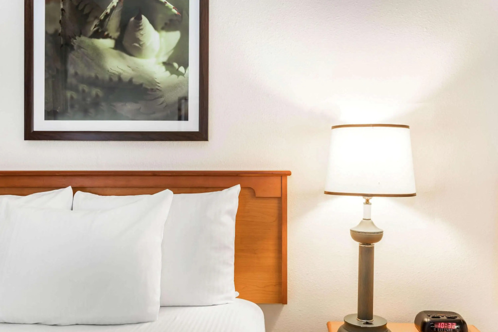 Отель Baymont by Wyndham Orlando South