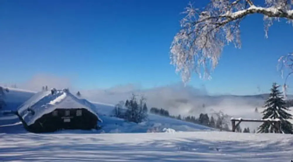 Berggasthaus Gisiboden Alm