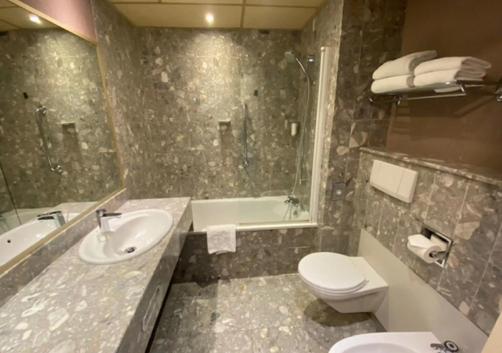 Plaza Hotel Capitole Toulouse