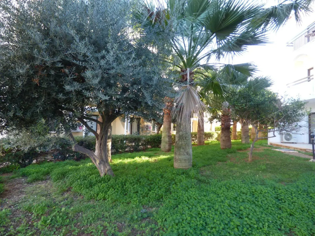 Amore Protaras Apartments