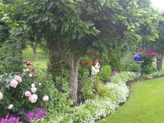 Windermere Lakeside B&B