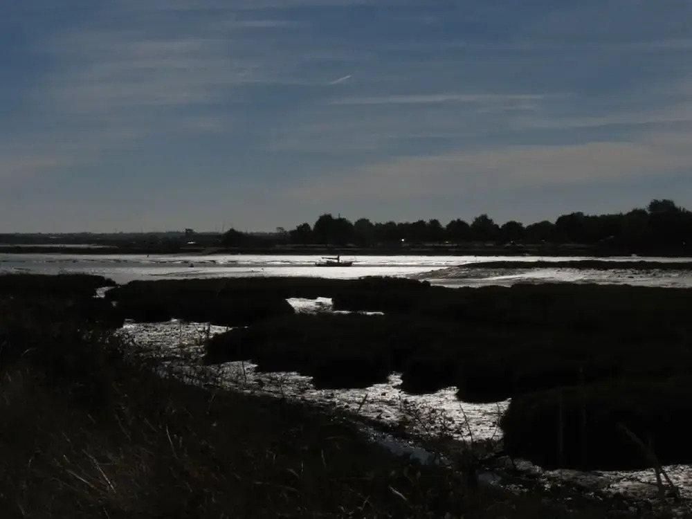 The Landings @ 83
