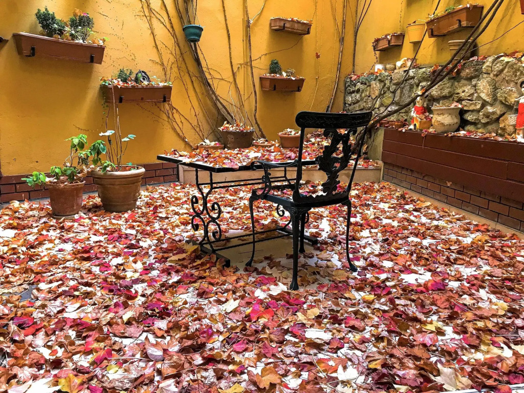 Garden House Hotel - Special Class