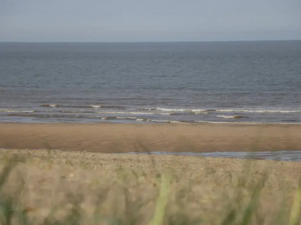 Eastbreeze
