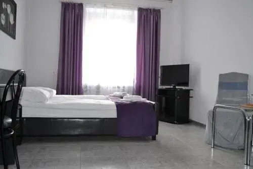 Hotel Piast