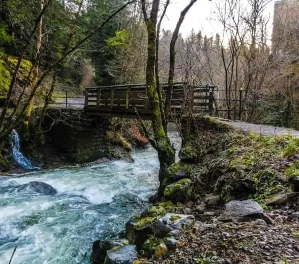 Séjour avec piscine chauffée