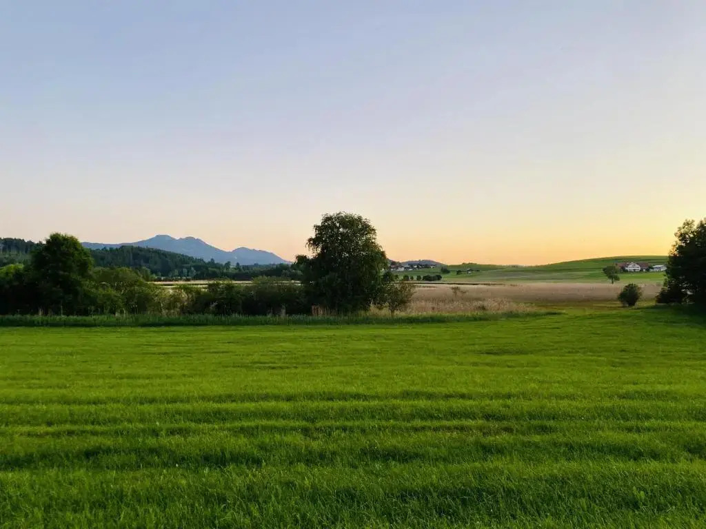 Pension Hirsch