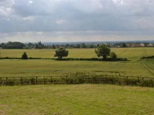 The Durham Ox