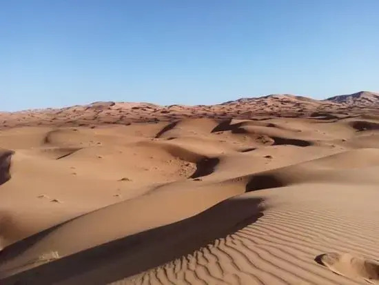 Mari Desert Camp