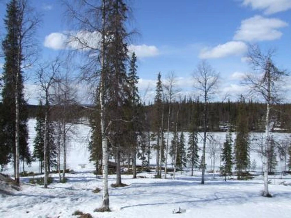 Mestarik mp t b10 Kuusamo