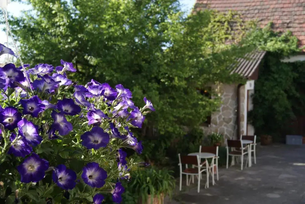 Pension Amelie