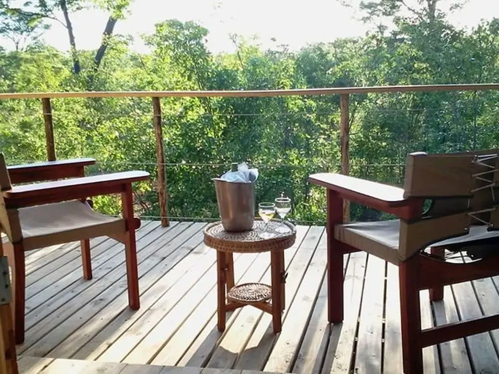 Miombo Safari
