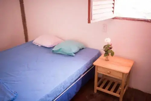 La Jungla