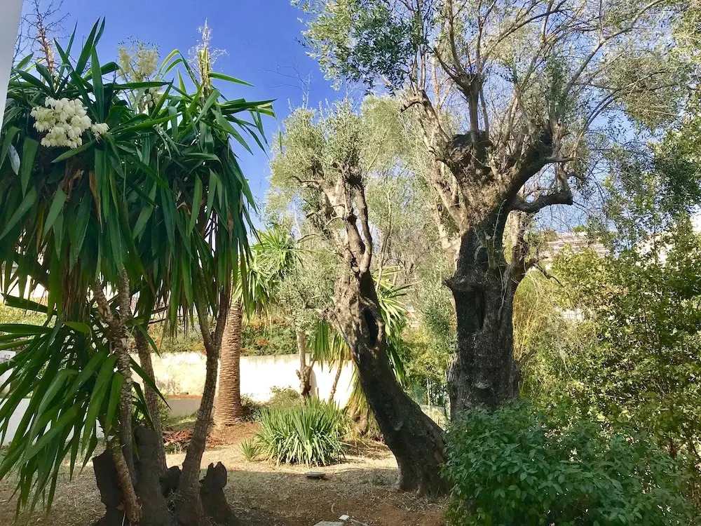 Villa Californienne