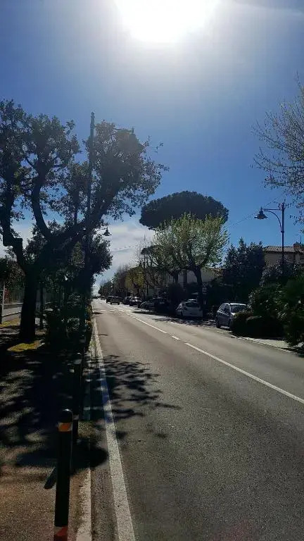 Versilia Apartment