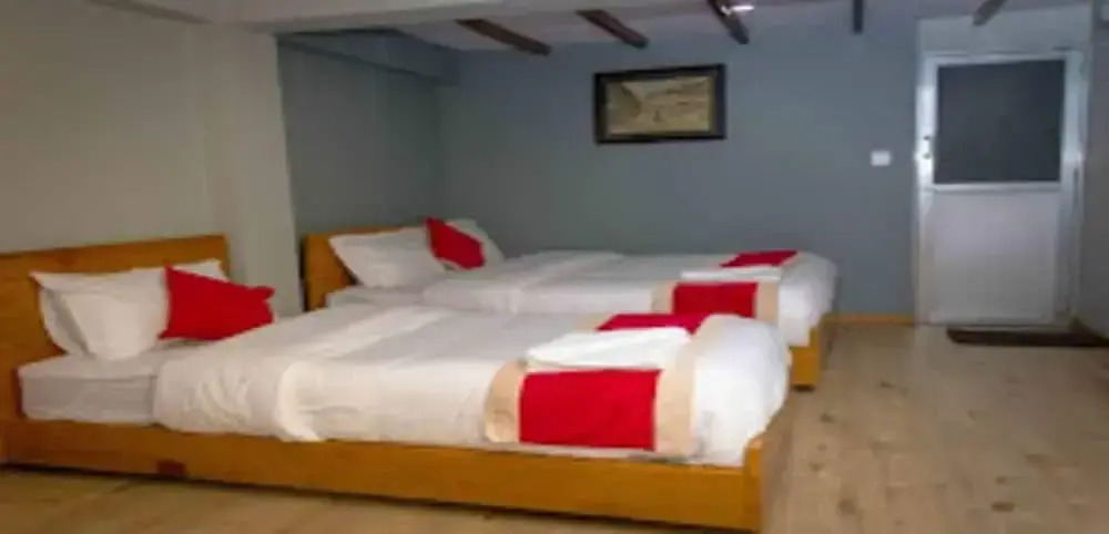 MeroStay 119 Inn Sangrahalaya