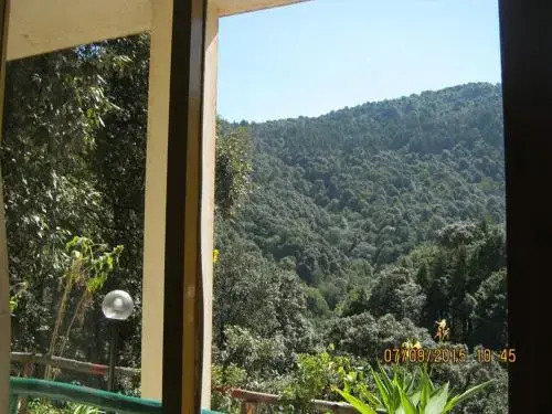 Janardan Homestay Nainital
