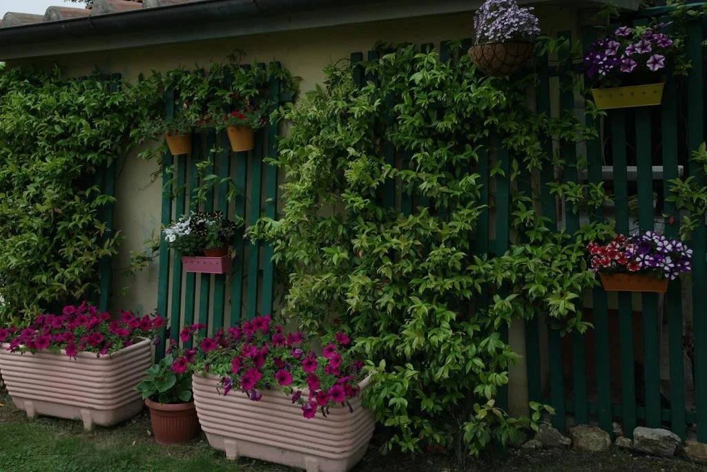 Rosemarie B&B