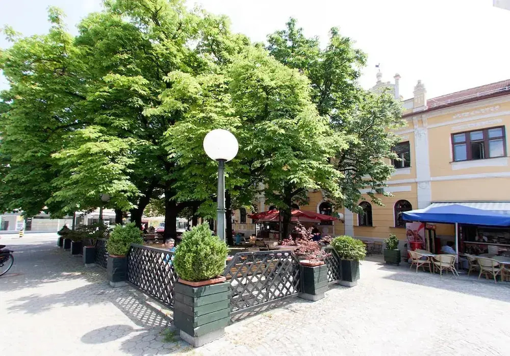 Hotel Zvezda