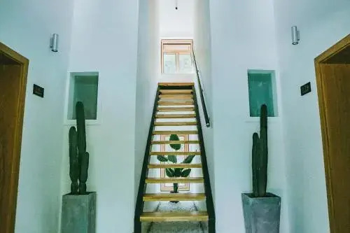 July Bamboo Hostel