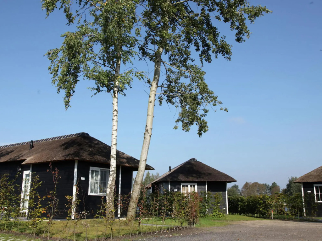 Thatched lodge with a combination microwave, at a holiday park in Twente
