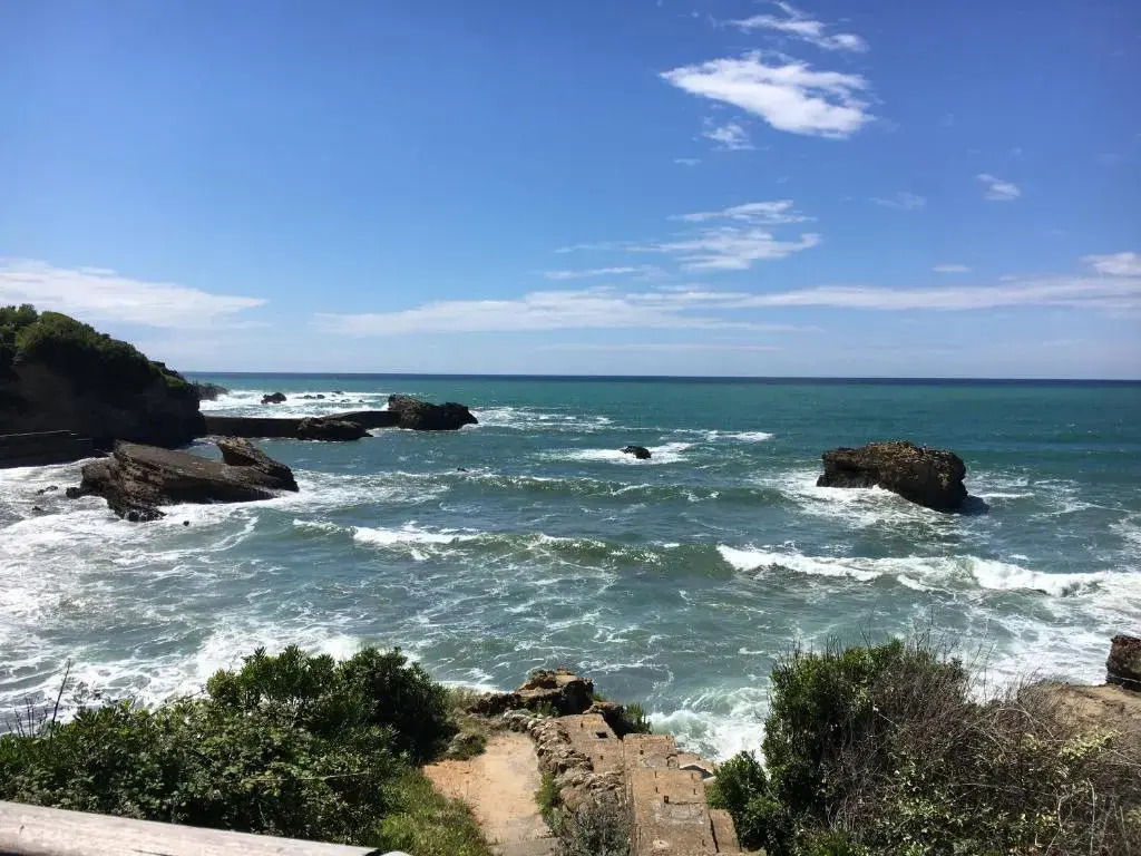 Apt-400m plage de Biarritz dans quartier résidentiel tous commerces très calme et tout confort