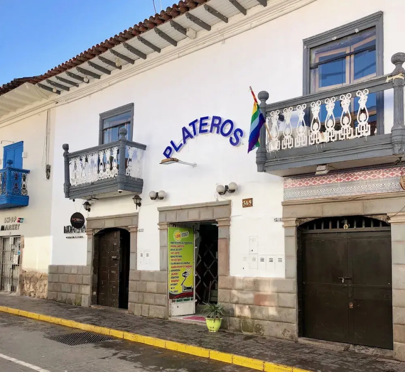 Hotel Plateros