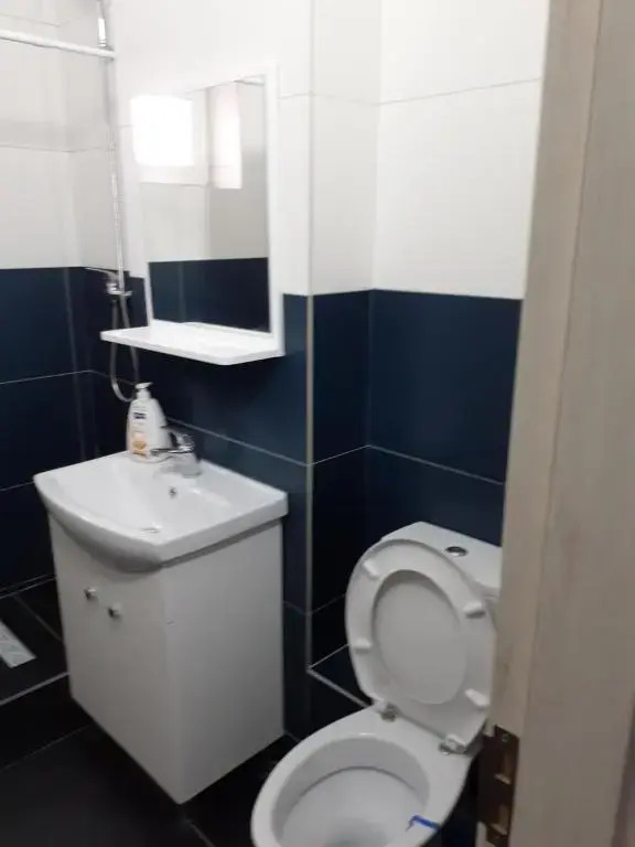 Apartament confortabil în Bucovina