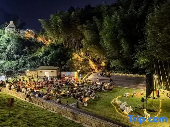 Chashan Bamboo Sea Stargazing Camping Base