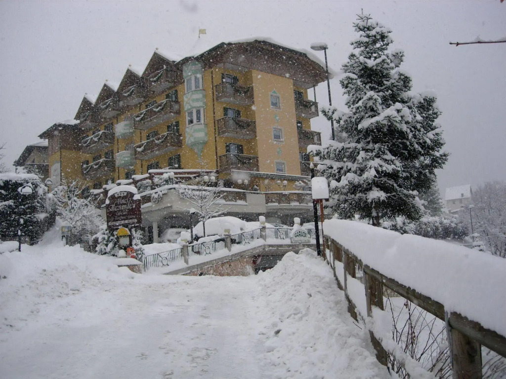 Alexander Hotel Alpine Wellness Dolomites