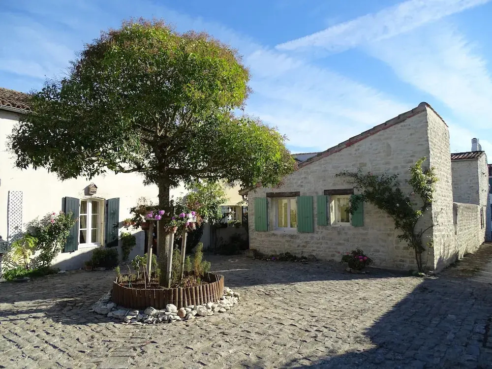 Maison Salicorne