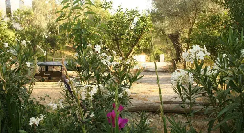 Molino Del Azahar