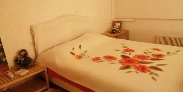 Ariadni 100sqm, 80m awarded beach, 2bedrooms for 2pers