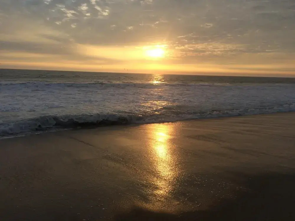 Surfari Punta Rocas