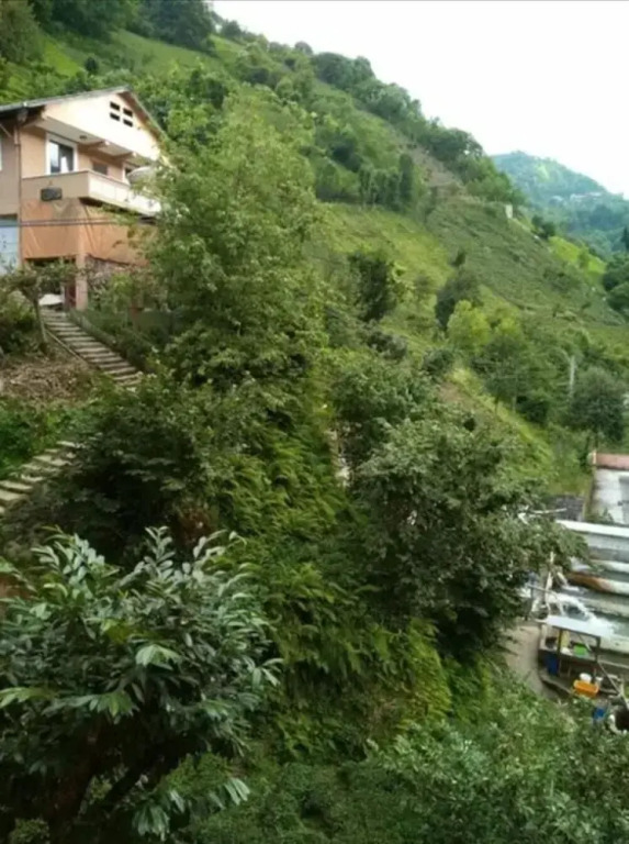 Yeşil Doğa Bungalov