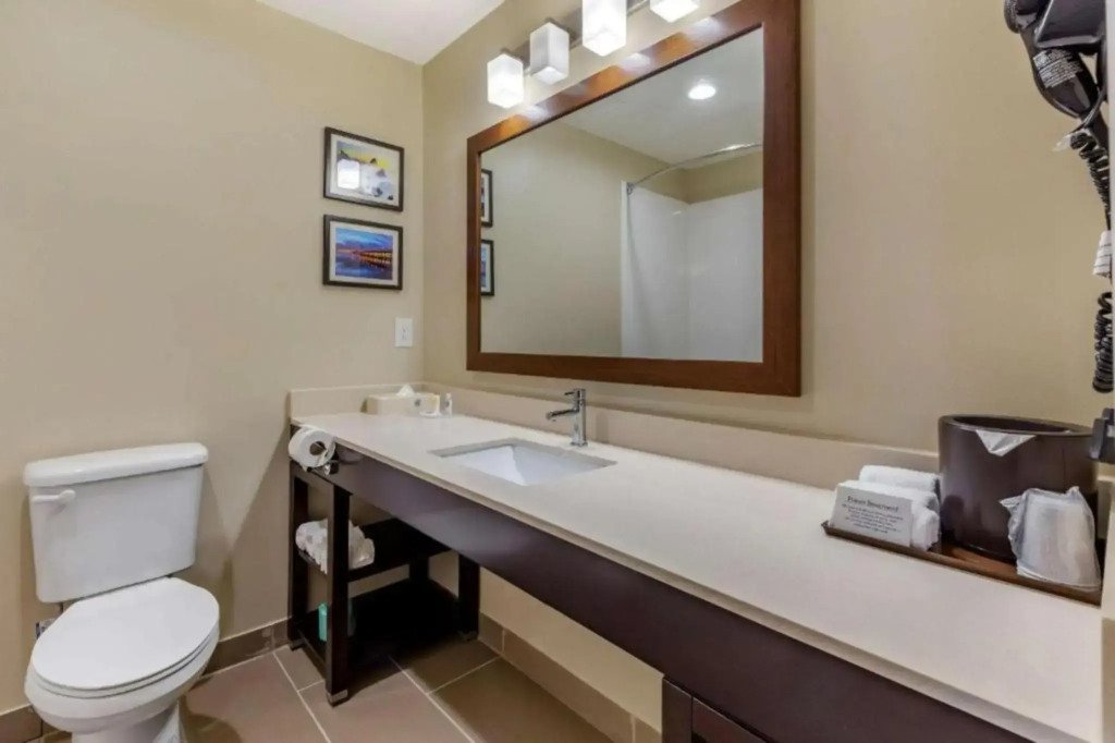 Comfort Suites Near Camp Lejeune