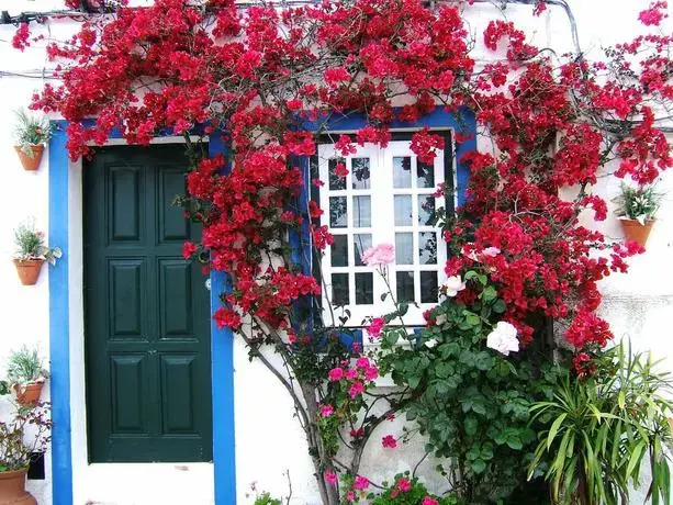 Casa Da Planicie