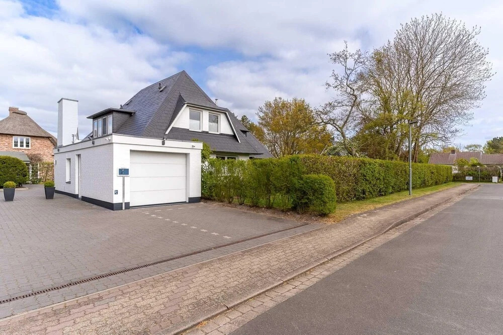 Seeschwalbe