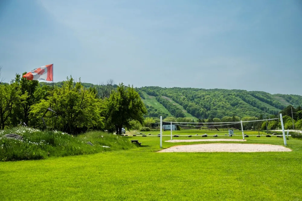 6 bdrm Blue Mountain Cottage, Private Beach Access, Hot Tub, Sauna, Table Tennis, BBQ, Petfriendly