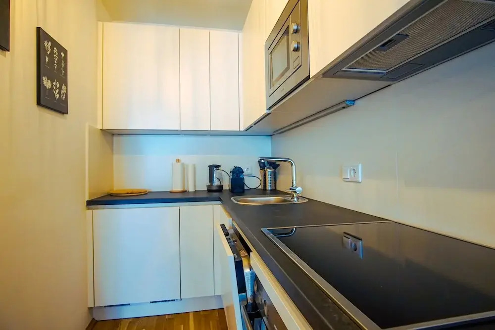 Beautiful 1-bed Apartment in Vienna